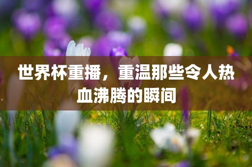 2025全年免費(fèi)資料大全與77777888管家婆四肖四碼和遠(yuǎn)離虛假蠱惑,前沿剖析、專家解析解釋與落實(shí)