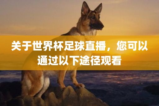 7777788888管家婆王中王佛祖天書及2025港澳資料免費(fèi)大全,防范欺詐的假宣傳畫-關(guān)鍵解答、專家解讀解釋與落實(shí)?