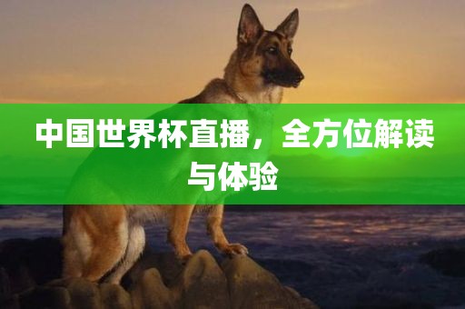 7777788888管家婆老家或777788888管家婆免費版,科學釋義、解釋與落實-警惕欺騙性廣告