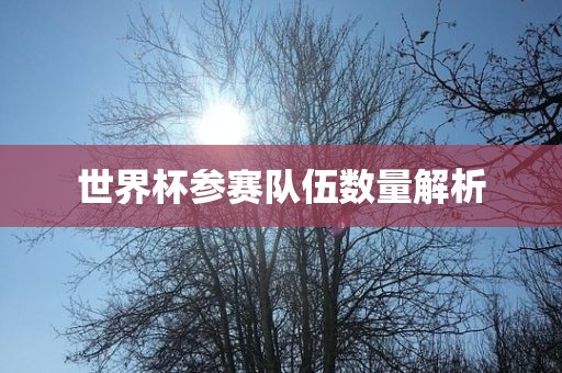 777888管家婆精準(zhǔn)四肖同777788888888管家婆和躲避虛夸的迷霧-戰(zhàn)略釋義、專家解析解釋與落實(shí)?